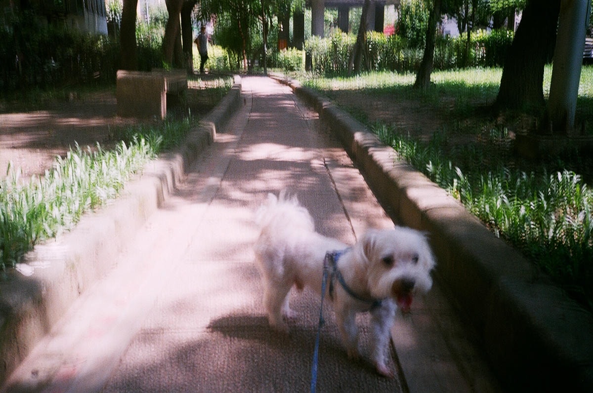 20250828-k8jh7
