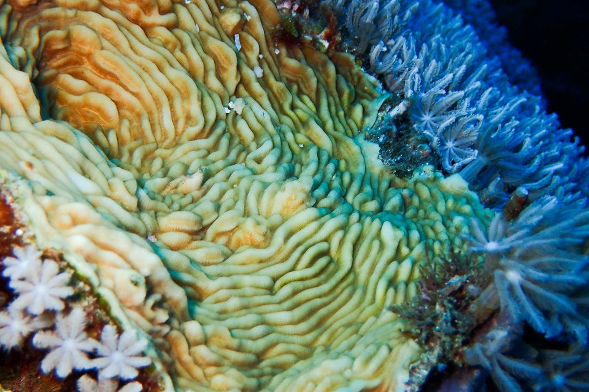20250829-26epu