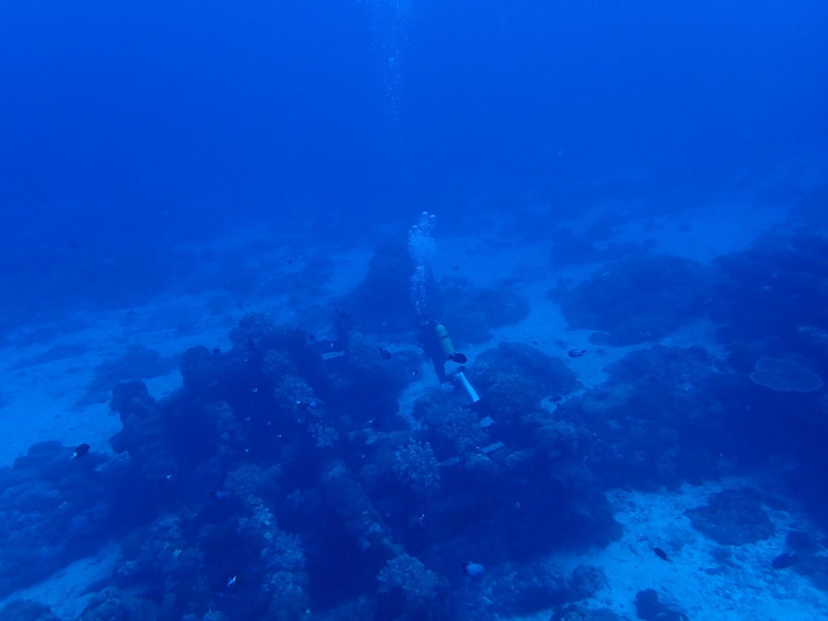 20250829-3gxh6