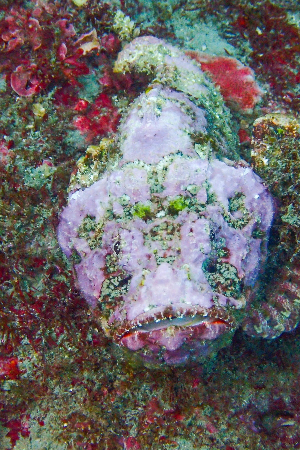 20250829-y6k58