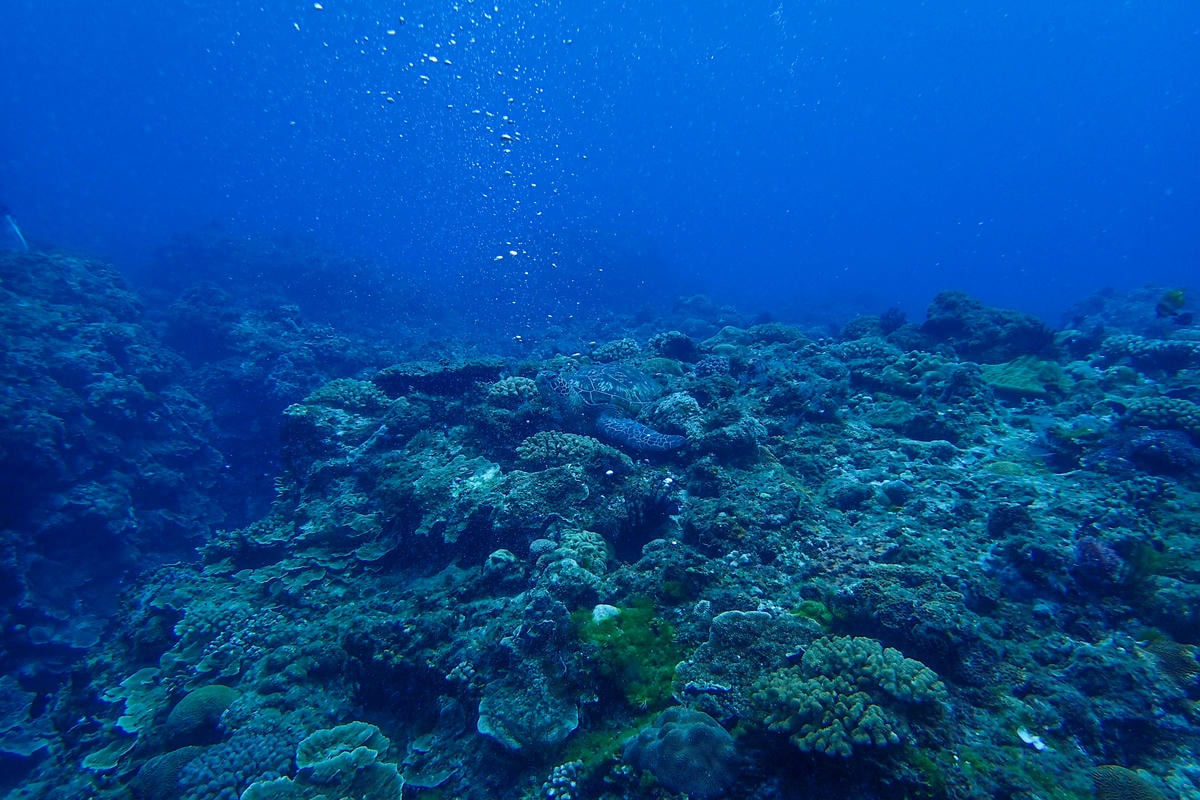 20250829-4ocwy