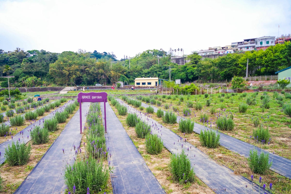 20250829-z6hrd