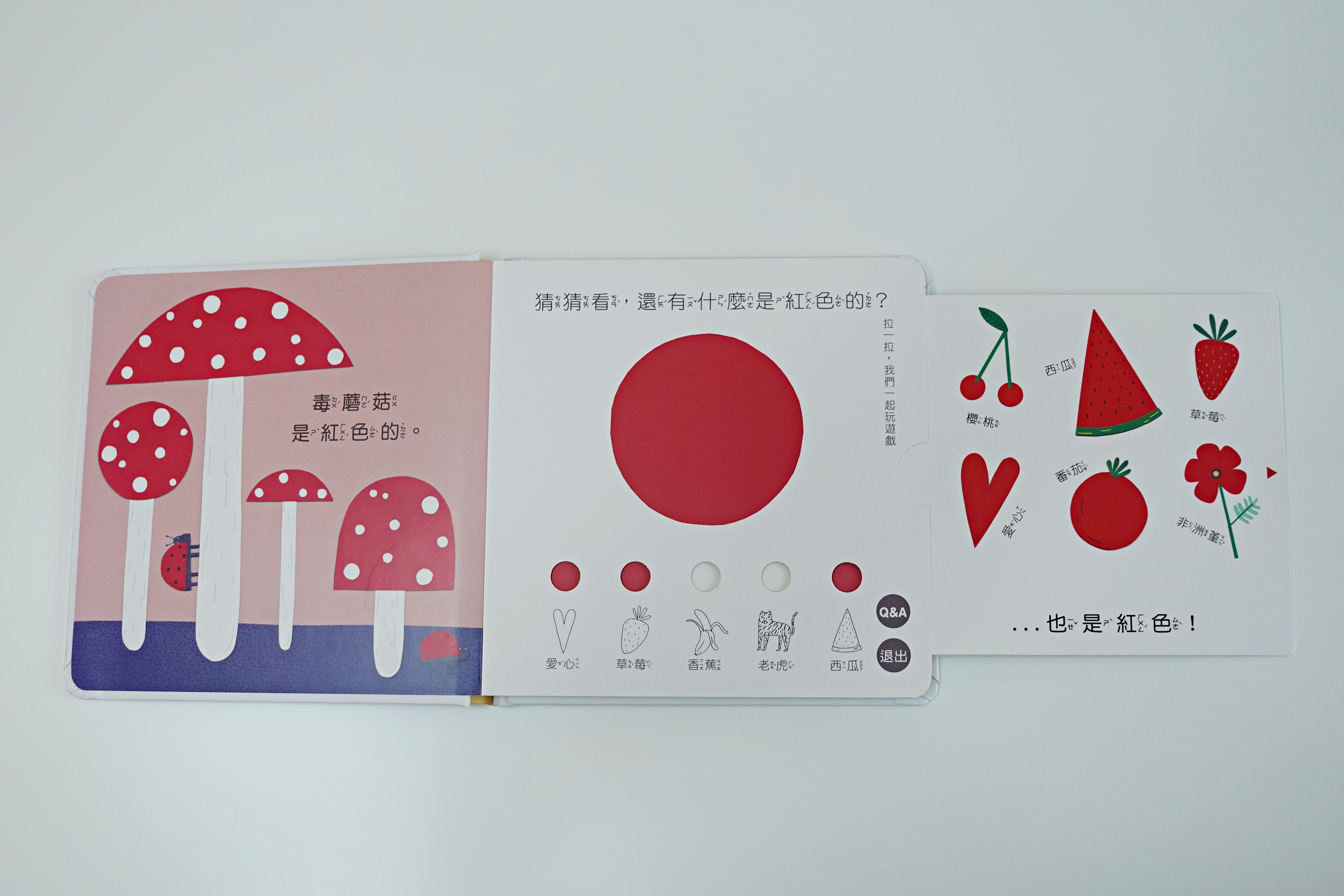 【開團中|好書推薦】小牛津 我懂了!數字篇+顏色篇 拉拉認知書 (中英雙語點讀/捷克B4U出版社獨家授權)全書完整公開! - 第16張圖
