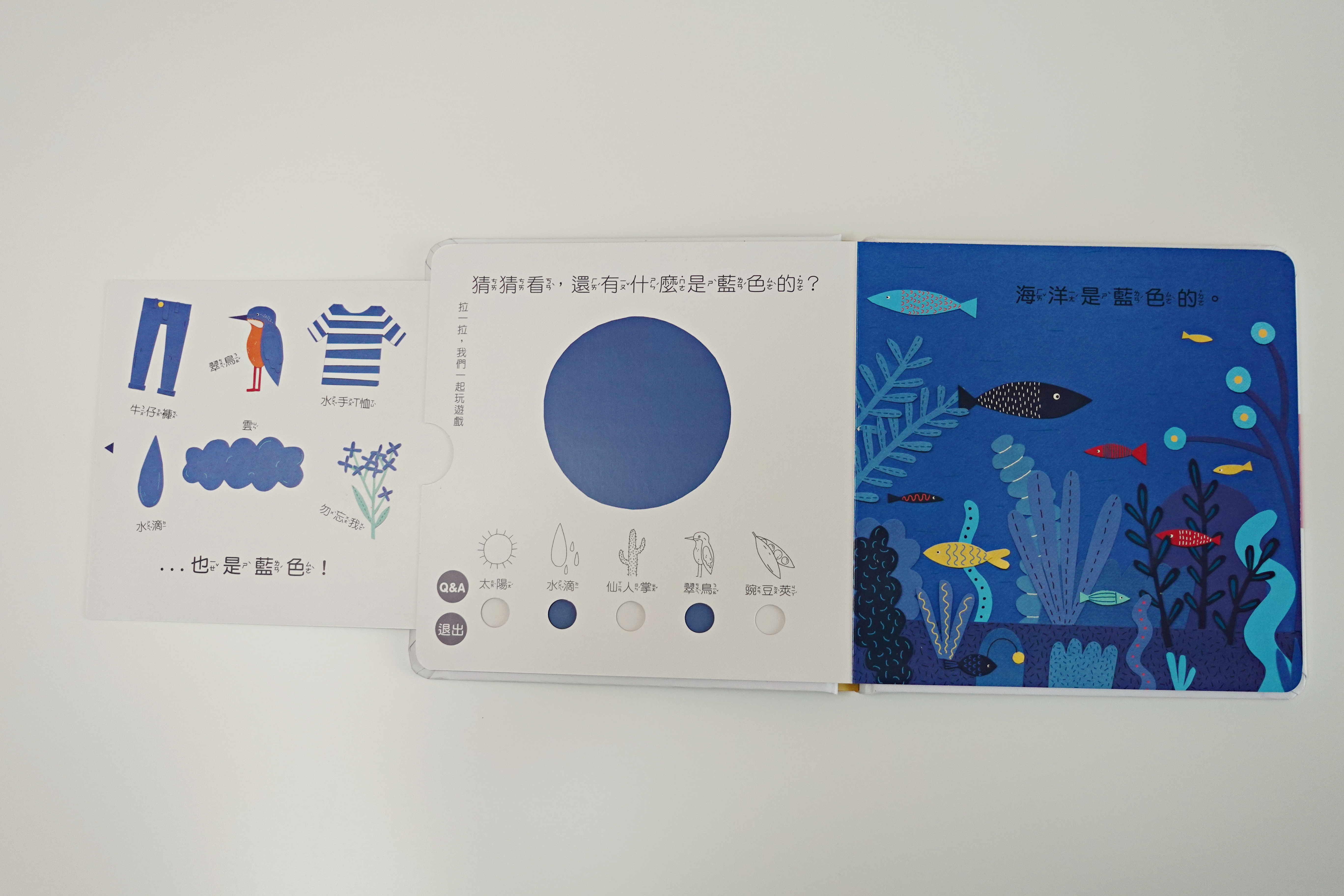 【開團中|好書推薦】小牛津 我懂了!數字篇+顏色篇 拉拉認知書 (中英雙語點讀/捷克B4U出版社獨家授權)全書完整公開! - 第17張圖