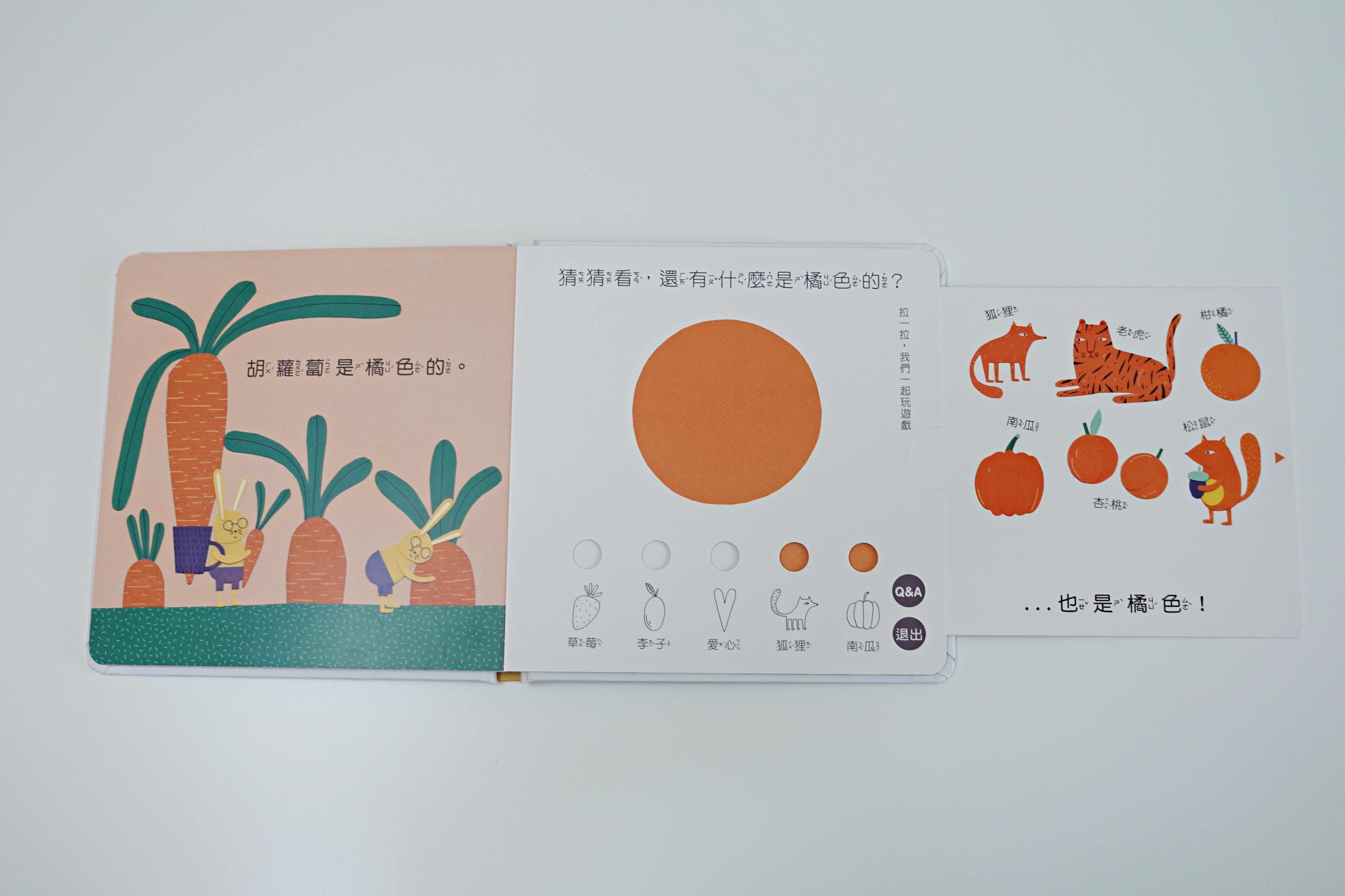 【開團中|好書推薦】小牛津 我懂了!數字篇+顏色篇 拉拉認知書 (中英雙語點讀/捷克B4U出版社獨家授權)全書完整公開! - 第20張圖
