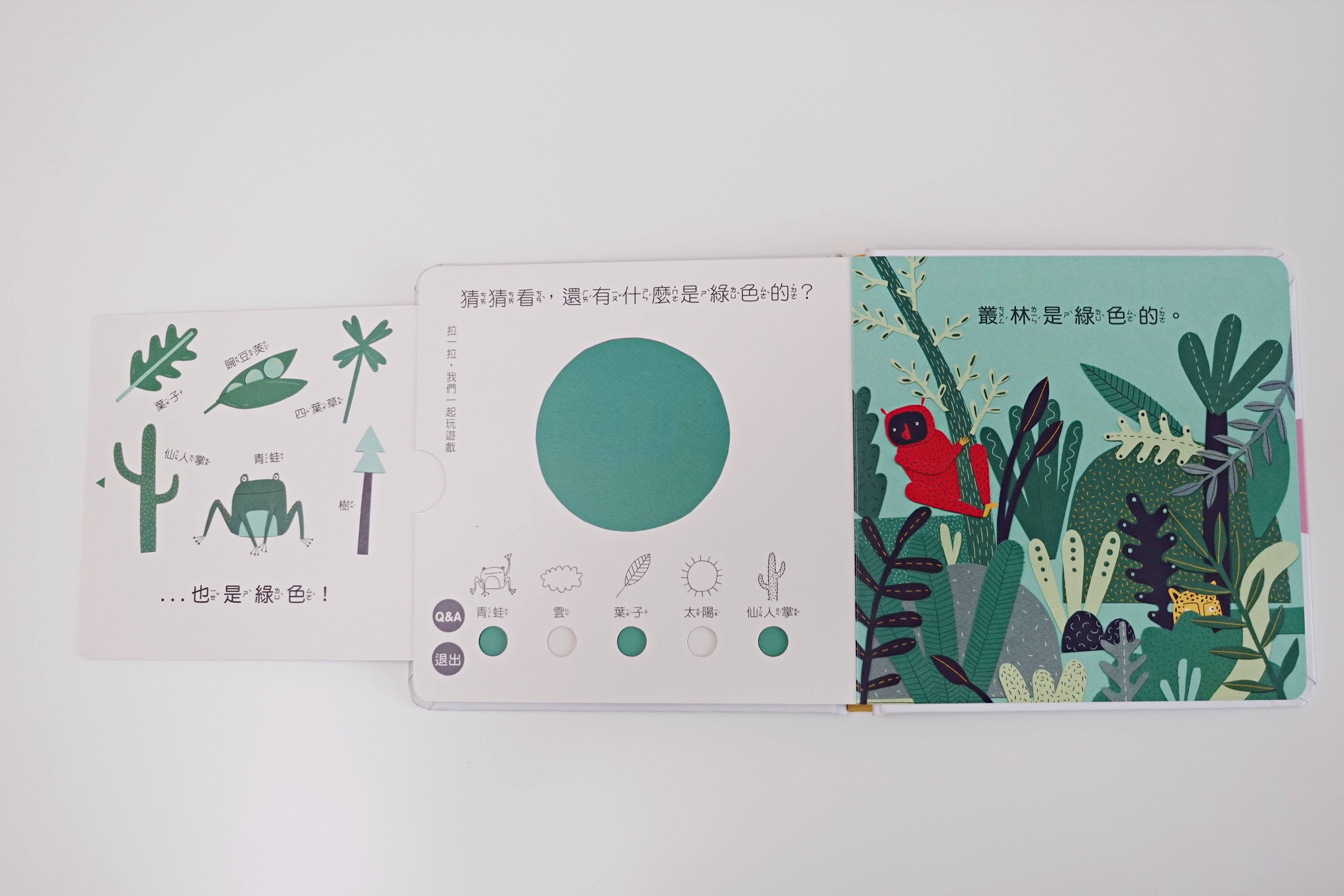 【開團中|好書推薦】小牛津 我懂了!數字篇+顏色篇 拉拉認知書 (中英雙語點讀/捷克B4U出版社獨家授權)全書完整公開! - 第21張圖